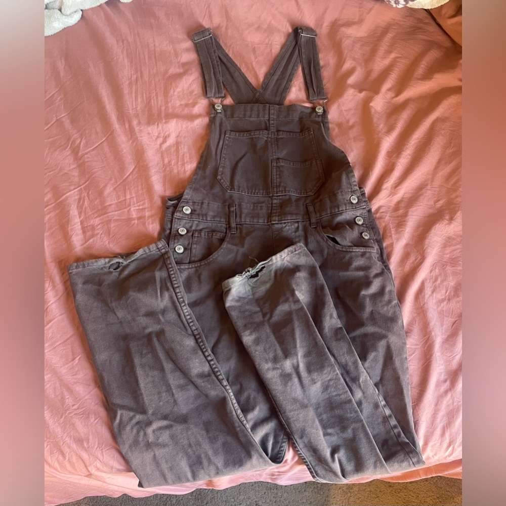 Free People We The Free Ziggy Denim Overalls